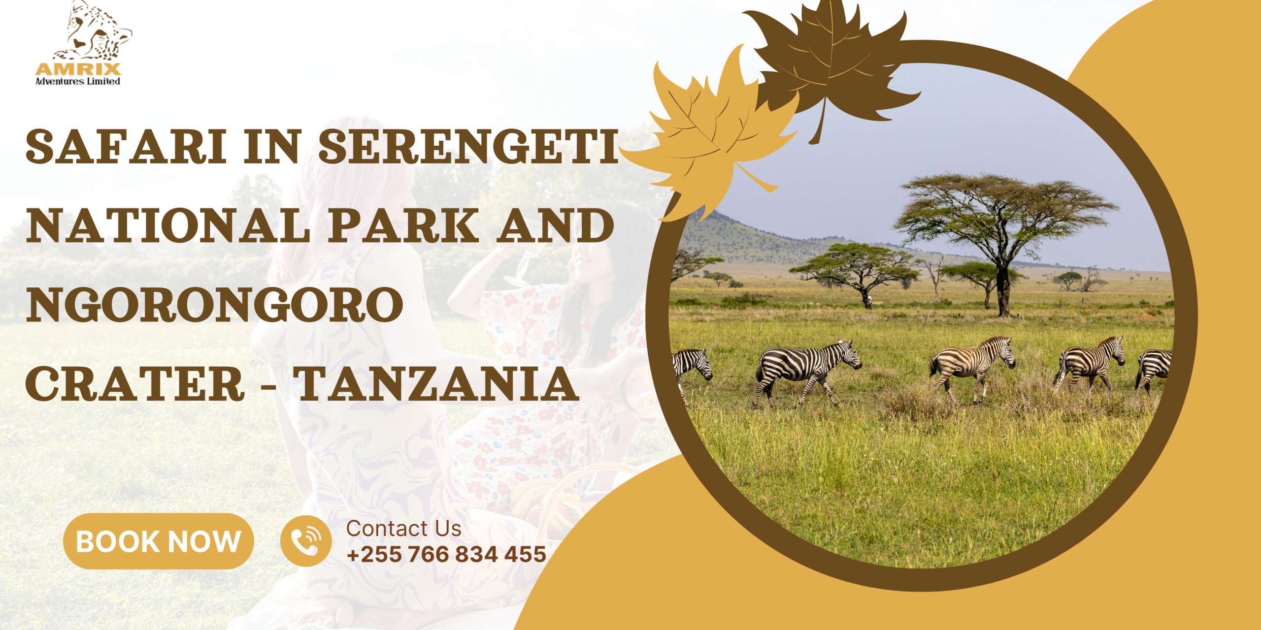 Safari in Serengeti National Park and Ngorongoro Crater - Tanzania